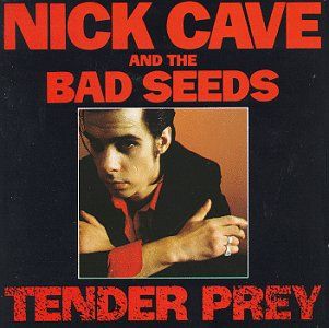 Nick Cave - Tender Prey